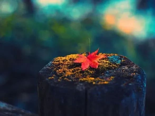 Від 10° морозу до 13° тепла: прогноз погоди на сьогодні