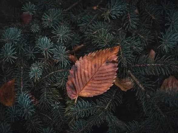 Холодно та сухо: прогноз погоди на сьогодні