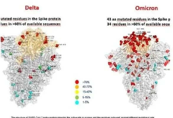 Італійські медики показали перше зображення “Omicron”