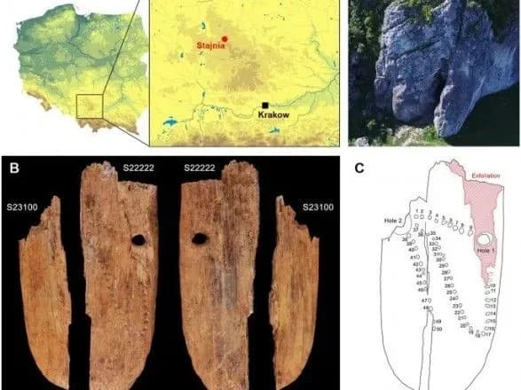 Польские археологи нашли самое древнее в Европе ювелирное украшение