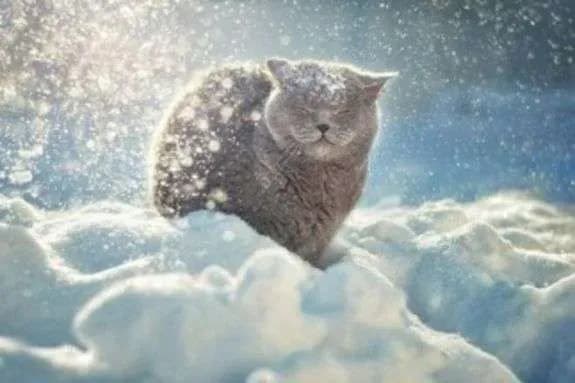 Сніг, мороз і хуртовини: яку погоду приніс Україні святий Миколай