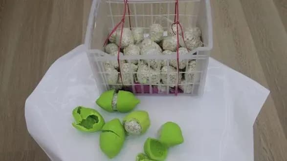 Дубай: поліція вилучила наркотики на 15 млн доларів, які були заховані у лимонах