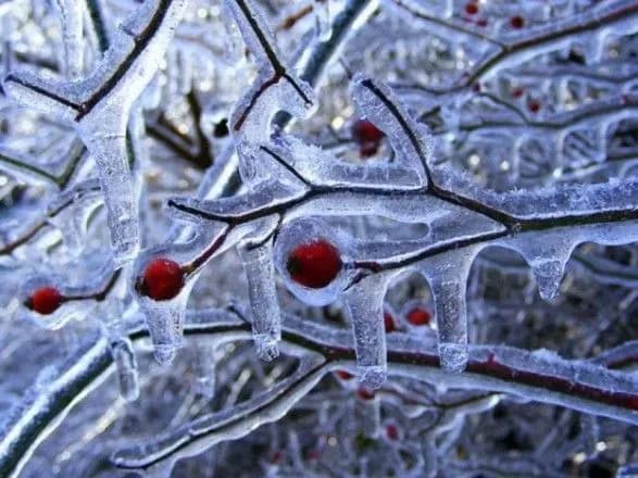 Штормове попередження: на узбережжі Азовського моря та в порту Маріуполь очікується надзвичайна ожеледь