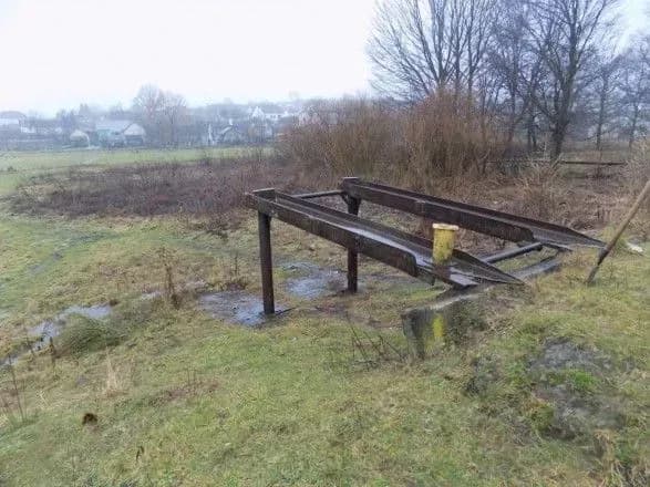 На Львівщині двоє чоловіків застрелили собаку. Поліція відкрила справу