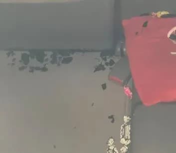 В Ужгороді пограбували автівку волонтерів, які дарують подарунки дітям та літнім людям