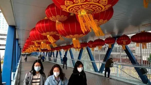 Гонконг планує вбити 2000 тварин, які захворіли на COVID-19