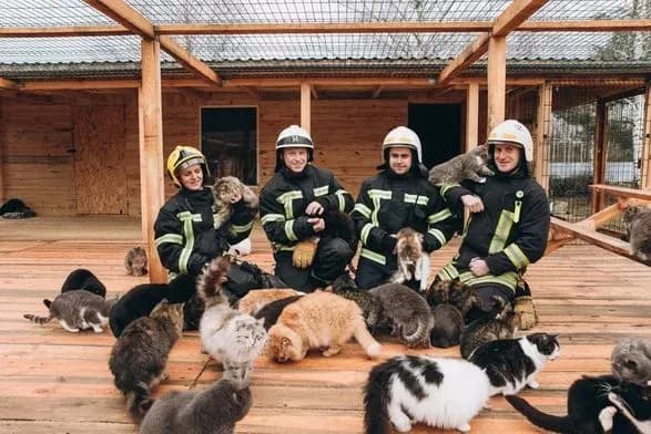 ГСЧС и приют сделали совместную фотосессию для поддержки бездомных животных