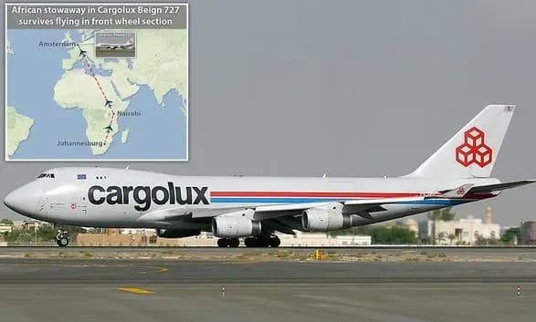 Безбилетный пассажир пережил 11-часовой перелет в колесной нише из Африки в Европу