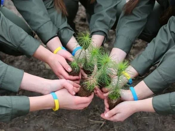 Предприятия Гослесагентства уплатили почти 9 миллиардов налогов в бюджет за 2021 год