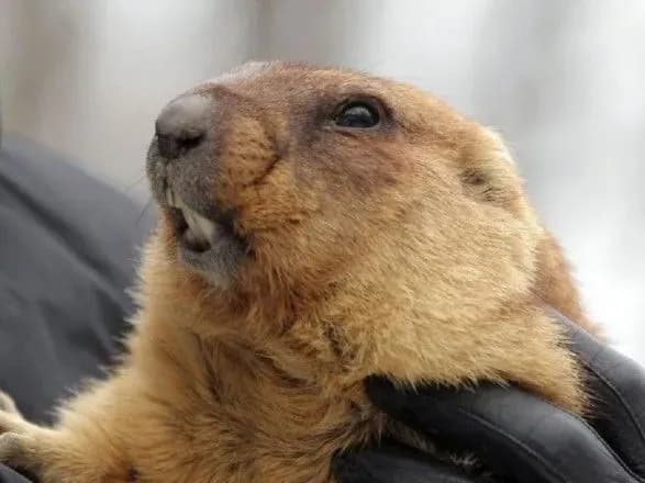 Бабак Тимко дав прогноз, коли в Україну прийде весна