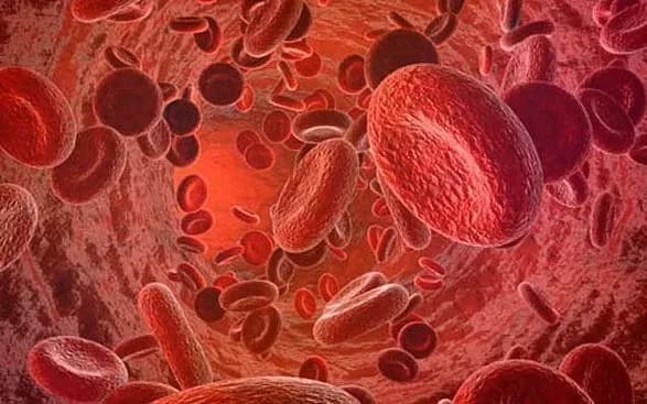 Онкогематолог розповіла, як діагностувати та лікувати множинну мієлому