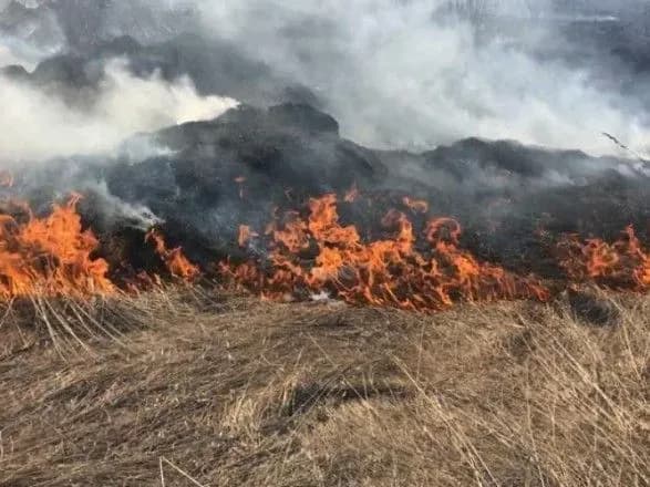 Не паліть сухостій – паліть окупантів: українців закликали не додавати роботи рятувальникам