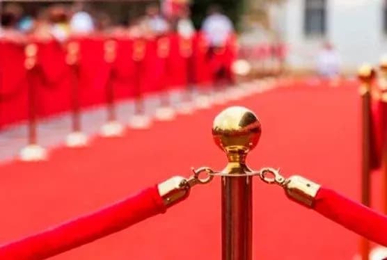 Кто-то за границей, а кто-то спасает котиков в столице: где находятся и чем занимаются звезды шоубиза