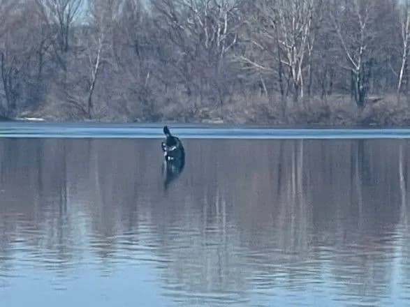 У Києві ППО знищила ракету рашистів, залишки впали у Дніпро