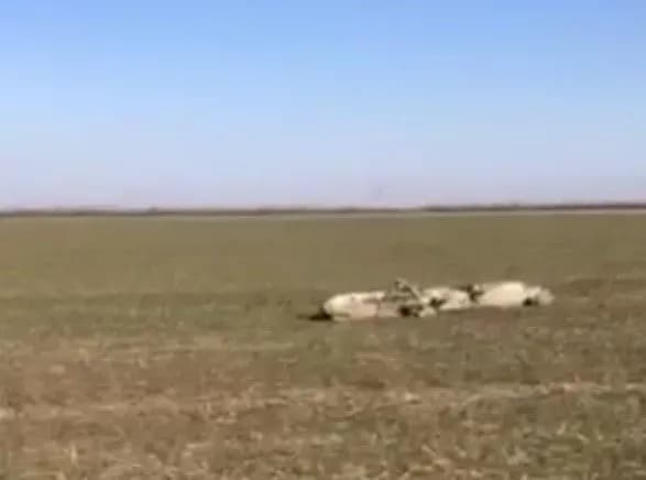 Над Николаевщиной сбили еще одну крылатую ракету рашистов - Ким