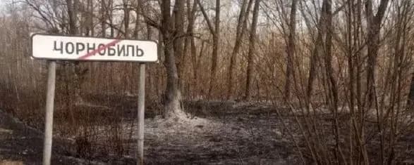 У зоні відчуження ЧАЕС через бойові дії горить понад 10 тисяч гектарів лісів