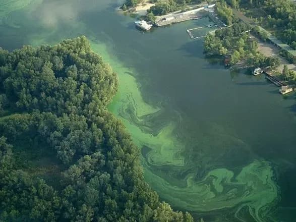 Наслідки будуть катастрофічні: еколог розповіла, як бойові дії вплинуть на забруднення водойм