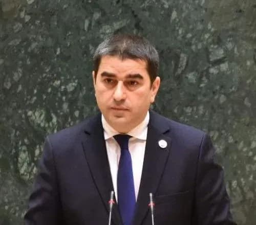 Спікер парламенту Грузії відхилив запрошення України відвідати Бучу через розбіжності з Києвом