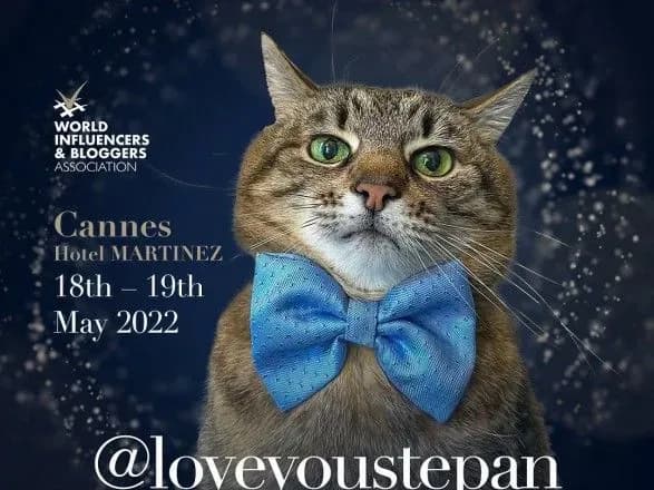 Знаменитого кота Степана из Харькова номинировали на самую престижную международную премию блогеров