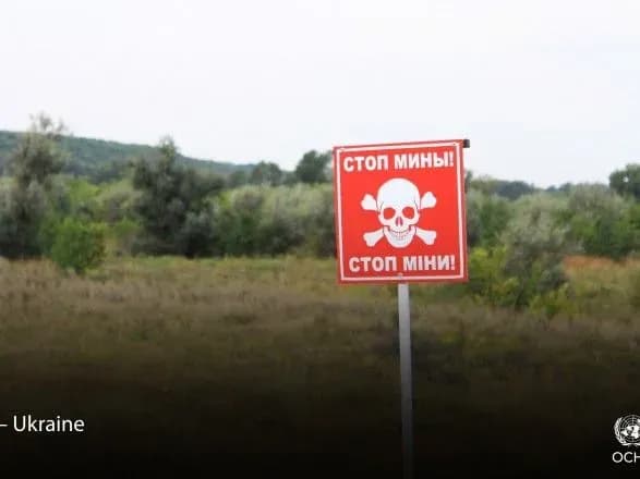 В Україні понад 30% полів не використовуватимуть для посіву зернових через війну - ООН