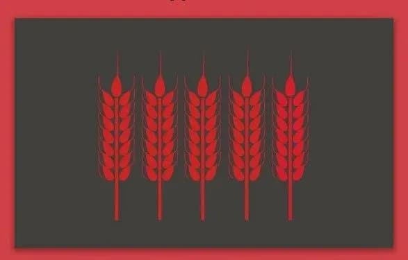 Крадуть зерно і вивозять до Криму: ворог намагається спричинити голод у південних регіонах України