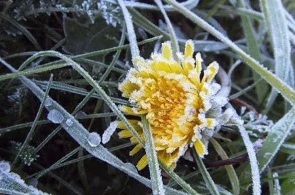 Заморозки на ґрунті вночі і невеликий дощ вдень: синоптики дали прогноз на останній день квітня