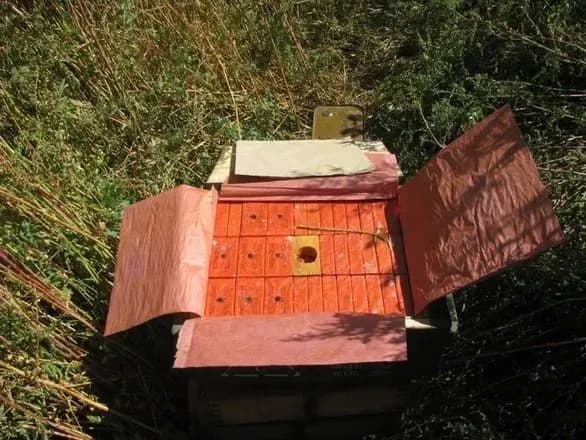 У Харкові вороги планували підірвати 10 кг тротилу