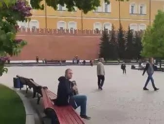 Біля кремля пролунала "Ой, у лузі червона калина"