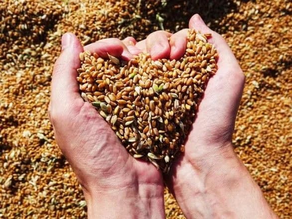 Туреччина, Україна, росія та ООН підготували "дорожню карту" для забезпечення водного коридору для зерна - Anadolu