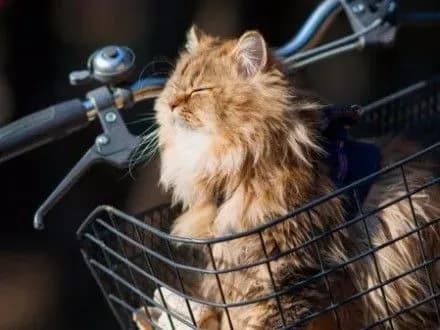 Сухо и до 30° тепла: прогноз погоды на завтра