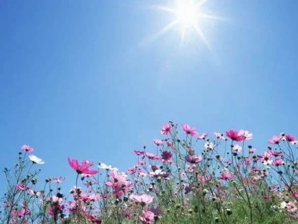 Неділя обіцяє бути спекотною