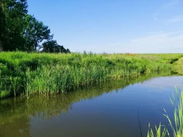 Для українців відкрили 240 місць відпочинку біля водойм – ДСНС