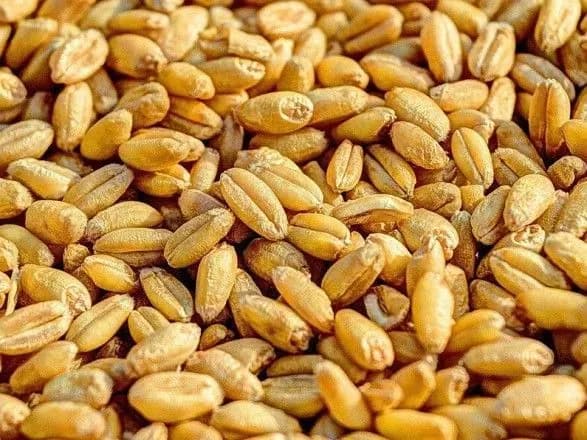 Франція і Туреччина продовжуватимуть зусилля для експорту українського зерна через Чорне море - Макрон