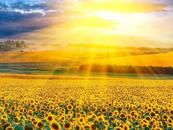 Спека та дощі: прогноз погоди в Україні