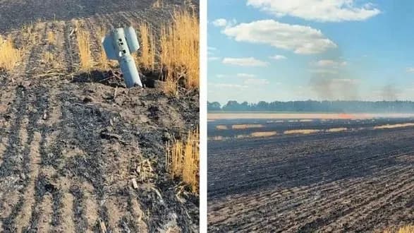 На Дніпропетровщині окупанти пошкодили склади з трьома тонами зерна, просом та соняшником - облрада