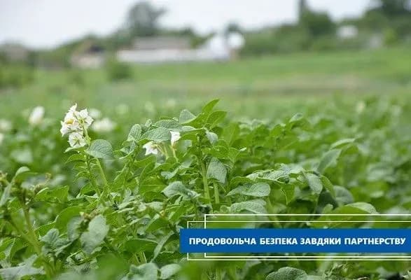 “МХП-Громаді” допоміг з посадкою голландської картоплі для потреб переселенців