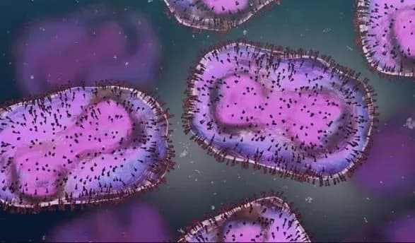 Європейська комісія схвалила вакцину проти мавпячої віспи