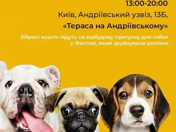 У столиці вдруге відбудеться благодійна барахолка "Собаня Charity"