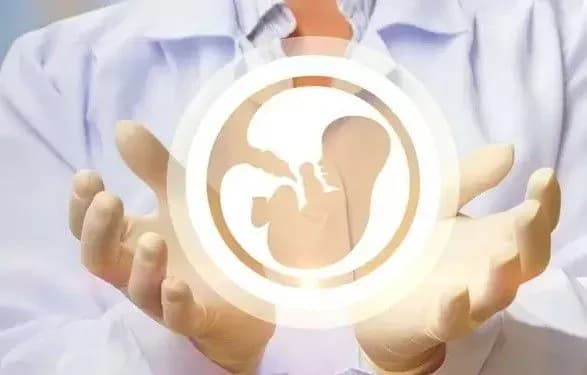 Ембріони у спадок? В Україні досі не вирішено питання постмортальної репродуктології
