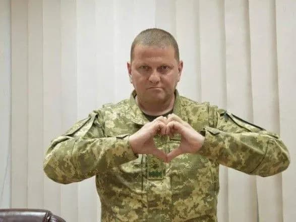 Виїзд студентів за кордон: Залужний просить Міноборони "дати добро", тепер справа за урядом