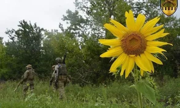 Неподалік Нової Дмитрівки та Долини росіяни намагались прорвати оборону ЗСУ - Генштаб