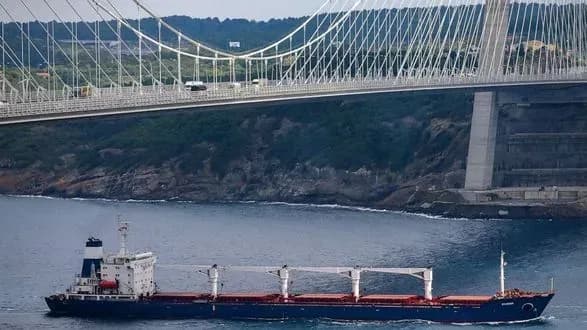 Зерновоз Razoni – перше судно з українським зерном – зник з радарів