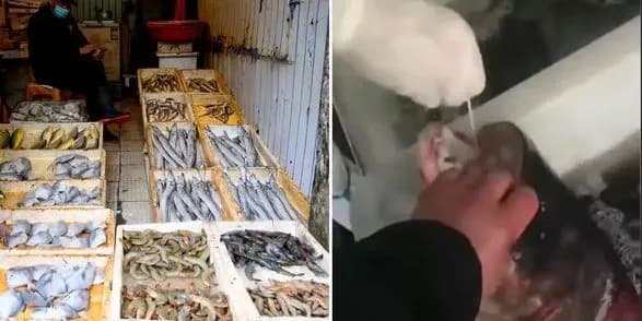 Китай тестуватиме на Covid-19 рибу