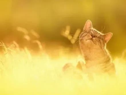 Вітряно та спекотно: прогноз погоди на сьогодні