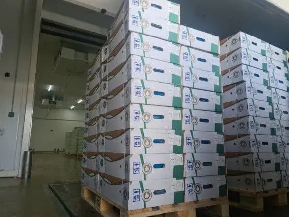 "МХП-Громаді" передали 2 тони курятини для родин з Миколаєва