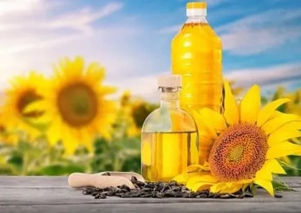 Не зерном єдиним: як повномасштабна війна вплинула на експорт олійних культур