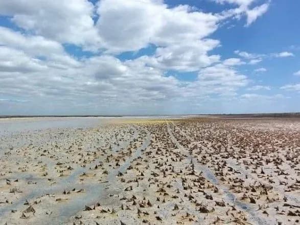 В одеському заповіднику через посуху висохли озера
