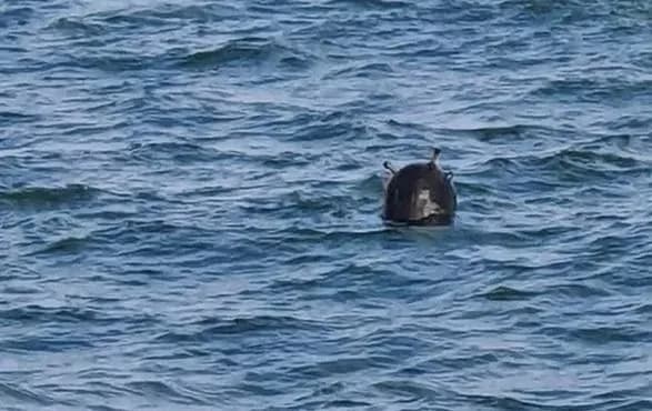 Румынское судно попало на мину в Черном море