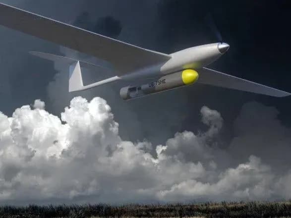 Українські військові показали роботу ударного дрону Punisher по позиціях окупантів