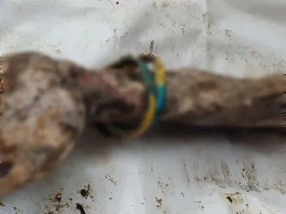 Синьо-жовті браслети на зап’ясті Сергій Сова носив як оберіг з 14-го року - Зеленський